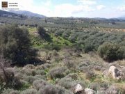 Peritz Kreta, Peri Grundstück 3.290m² mit Baugenehmigung Grundstück kaufen